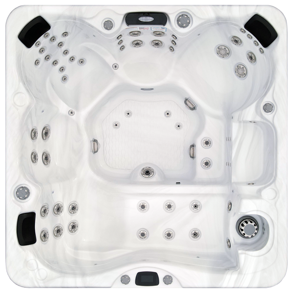 Avalon-X EC-867LX hot tubs for sale in Avondale